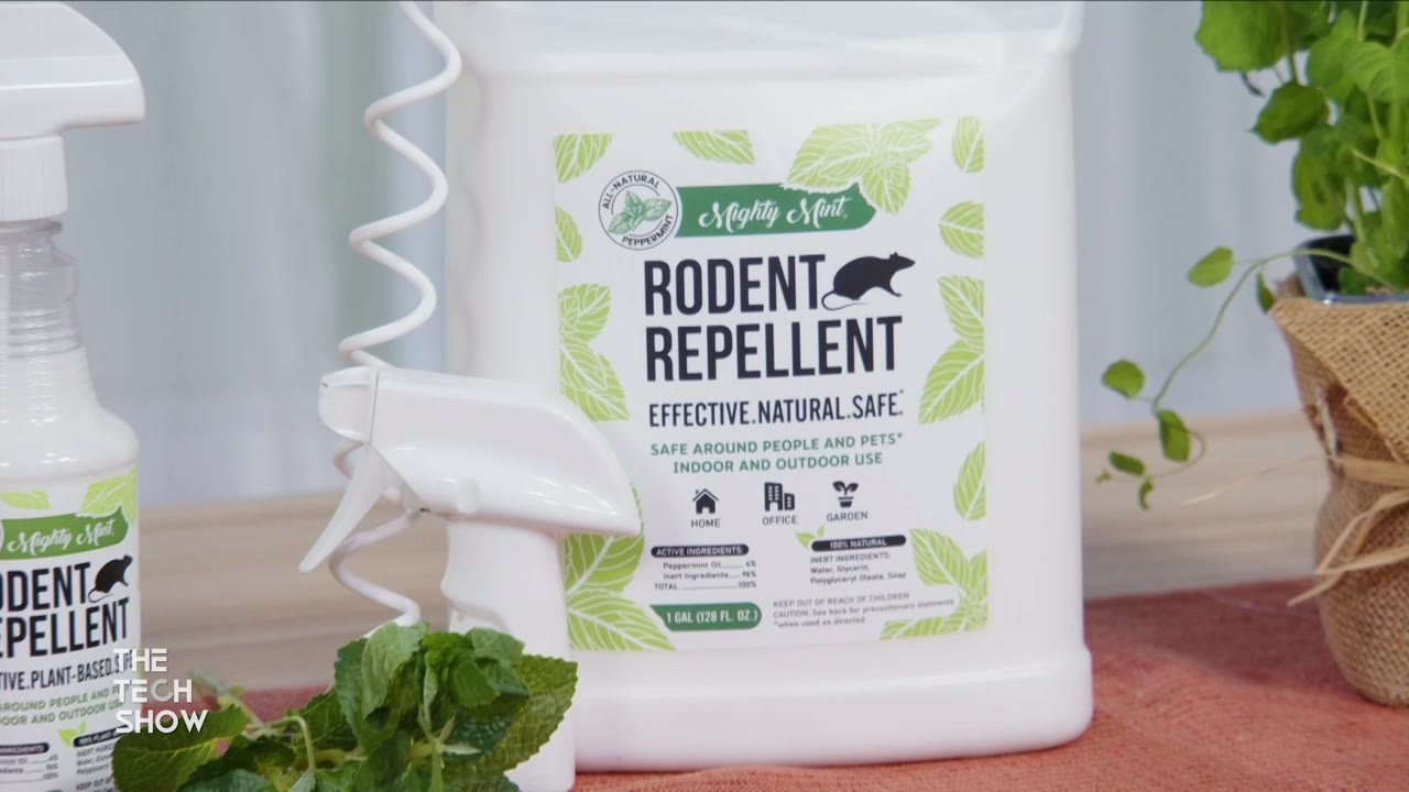 HGTV Good Bones Star Mina Starsiak Hawk