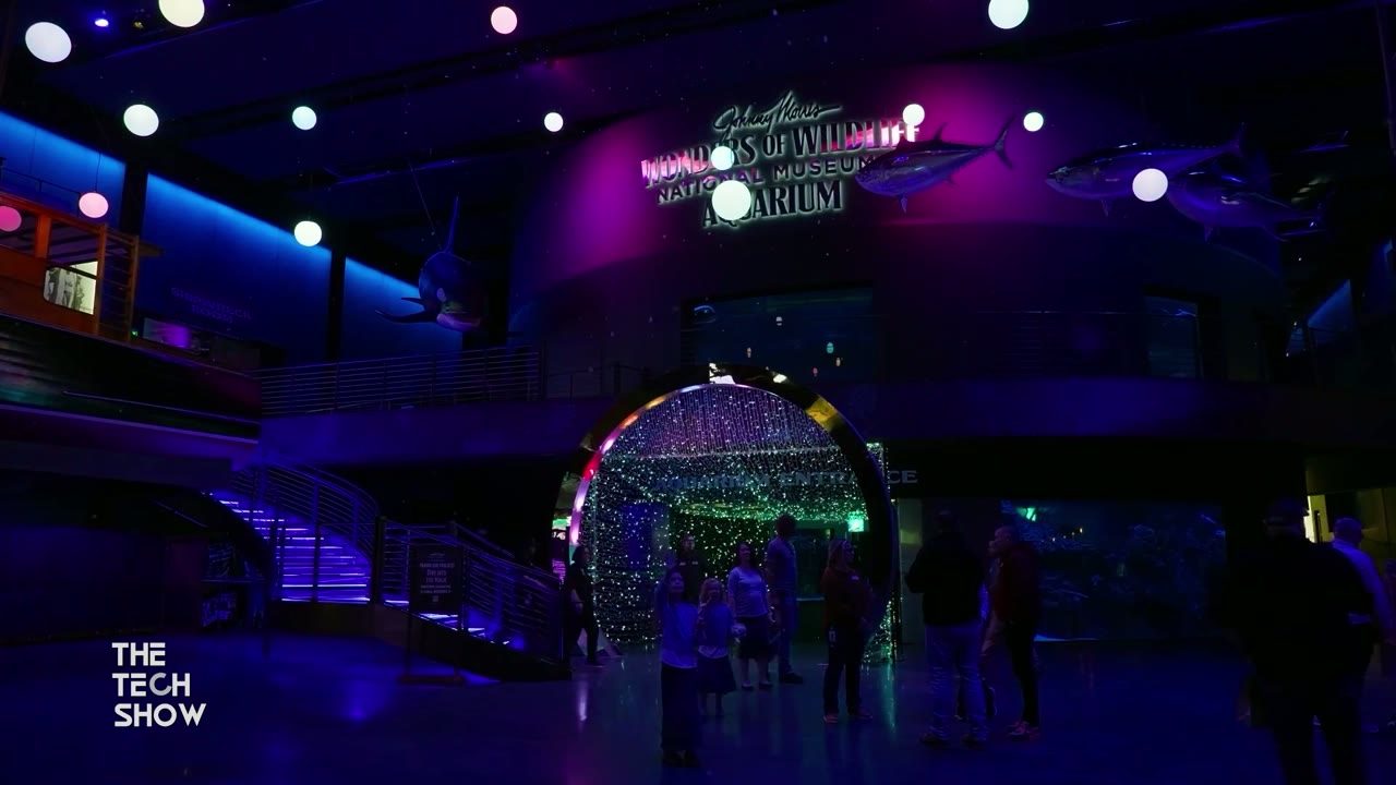 This Holiday Season, America’s #1 Aquarium is Transforming into a Glowing Conservation Wonderland